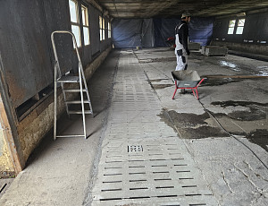 Rekonstrukce haly chovu prasat